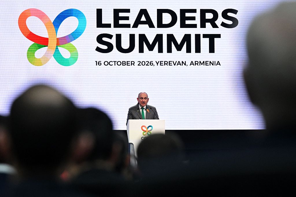 Armenian Prime Minister Nikol Pashinyan delivers a speech during the leaders' summit of the 17th meeting of the Conference of the Parties (COP17) to the Convention on Biological Diversity (CBD), in the Armenian capital of Yerevan on October 16, 2026. /VCG