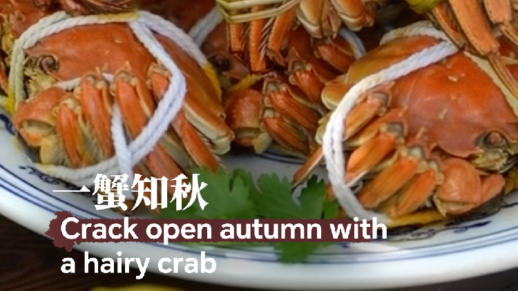 Crack open autumn with a hairy crab