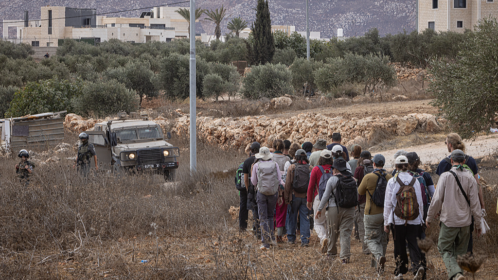 Palestinian farmers are accompanied by Israeli and international activists as they return to the land where an attack took place the previous day during the olive harvest in Abu Falah, West Bank, October 17, 2026. /VCG