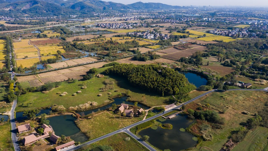 A view of the Archaeological Ruins of Liangzhu City park in Hangzhou City, east China's Zhejiang Province, November 26, 2025. /VCG