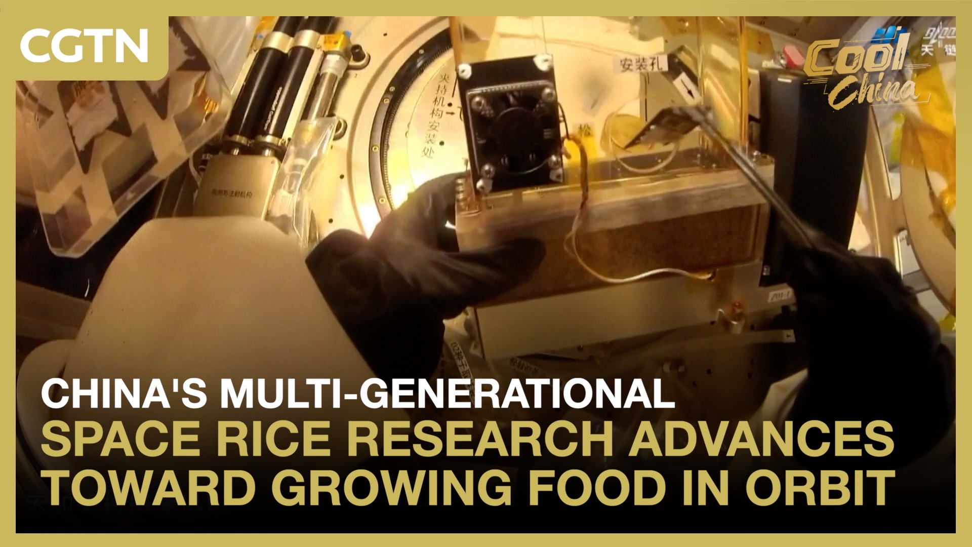 China's multi-generational space rice research advances toward growing food in orbit