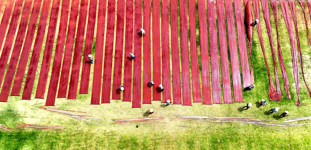 Workers dry xiangyunsha, or gambiered Guangdong gauze, a fabric designated as a national intangible cultural heritage item, on the lawn of Lavender Manor in Xincheng County, Laibin City, south China's Guangxi Zhuang Autonomous Region. /VCG
