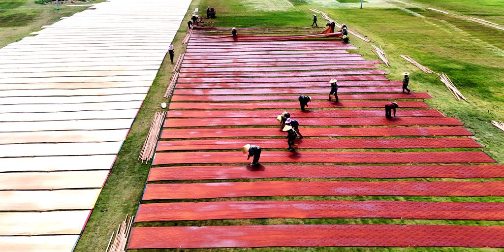 Workers dry xiangyunsha, or gambiered Guangdong gauze, a fabric designated as a national intangible cultural heritage item, on the lawn of Lavender Manor in Xincheng County, Laibin City, south China's Guangxi Zhuang Autonomous Region. /VCG