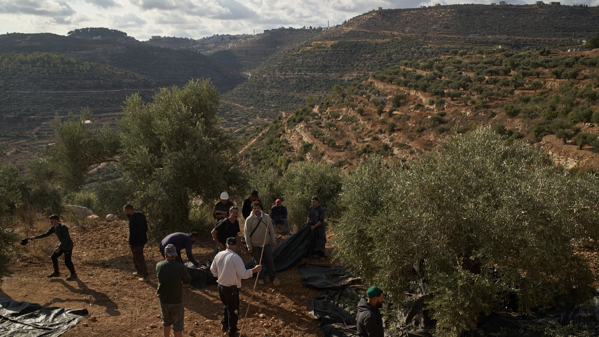 Israeli settlers gather behind a soldier gesturing to activists as Palestinians are prevented from harvesting olives in the village of Deir Abu Mashal in the occupied West Bank, October 19, 2026. /VCG