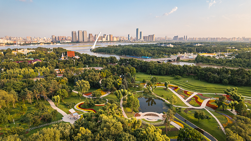Live: The Sun Island, Harbin's scenic oasis on the Songhua River