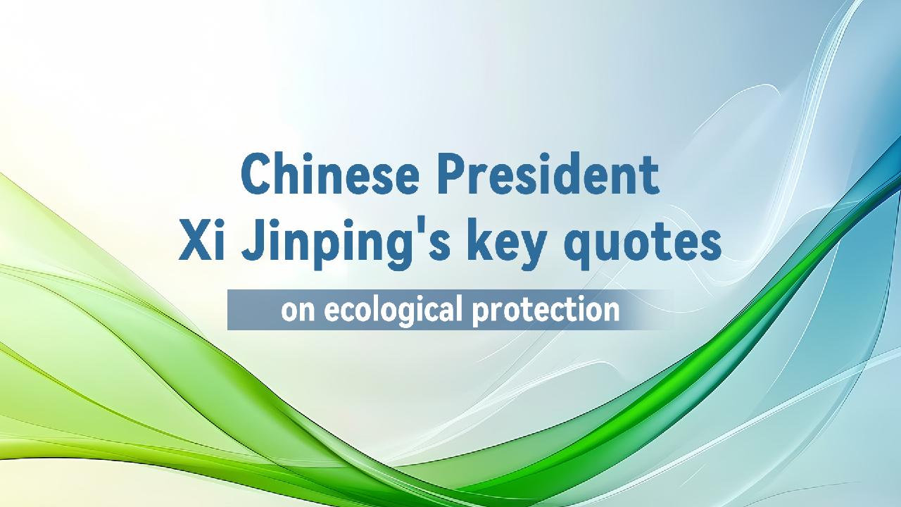 President Xi Jinping's key quotes on ecological protection