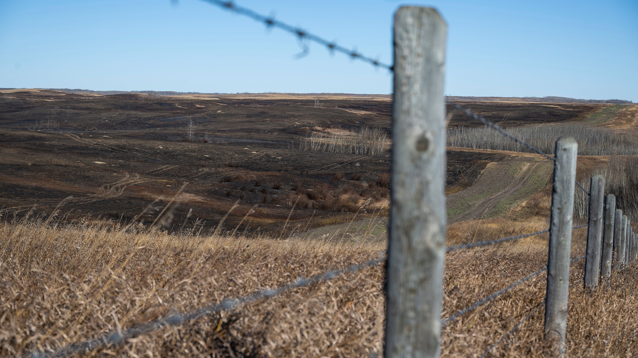 The burn area on CFB Wainwright south of the town Wainwright Alberta, Canada, on Sunday, October 18, 2026. /VCG