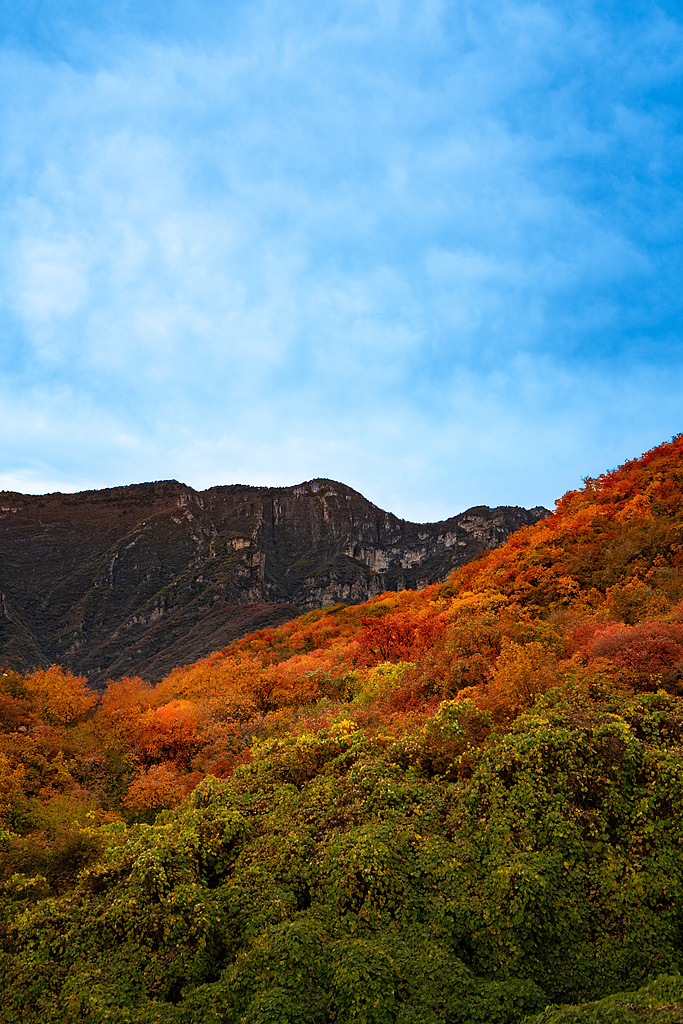 An autumn view of Pofengling Scenic Area in southwestern Beijing, China. /VCG