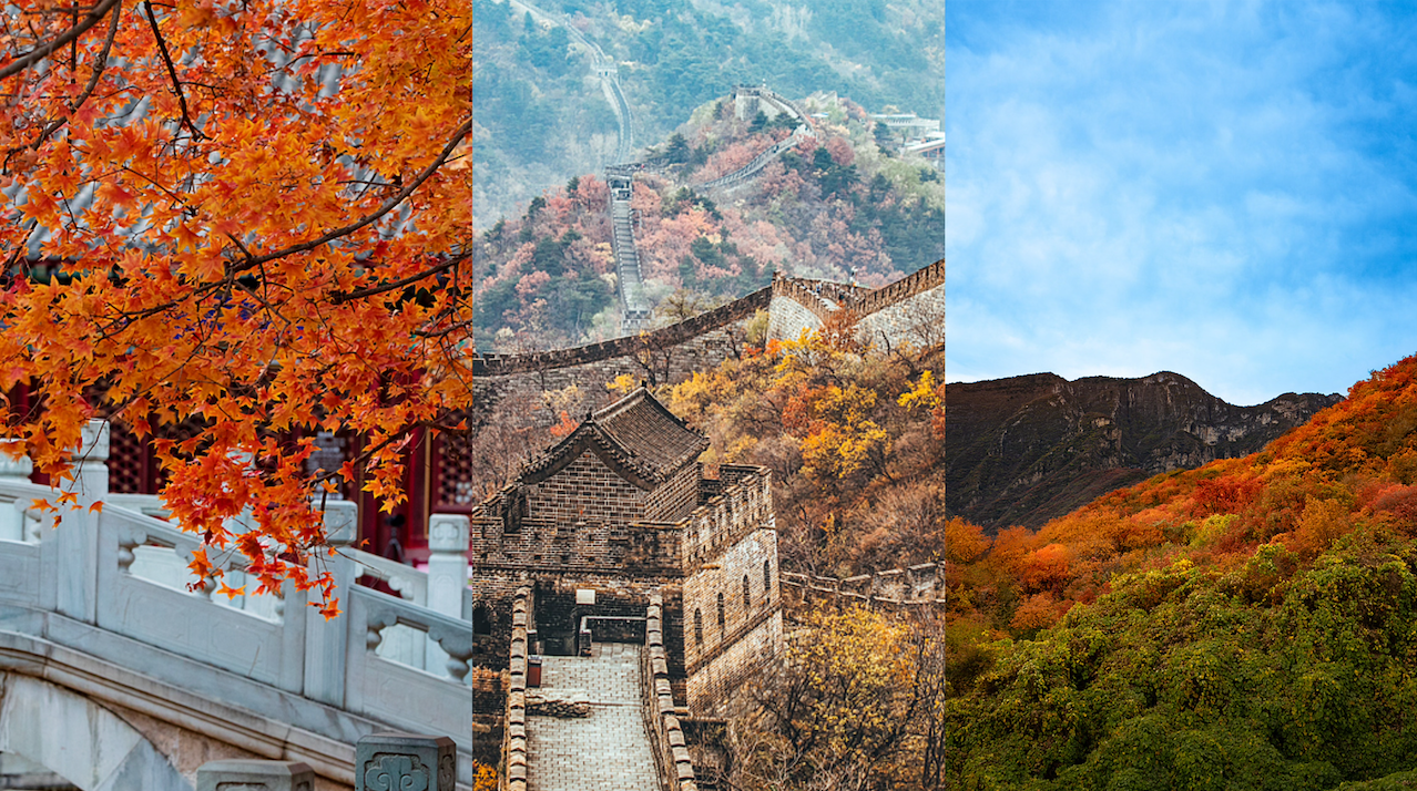 Chasing autumn colors in Beijing