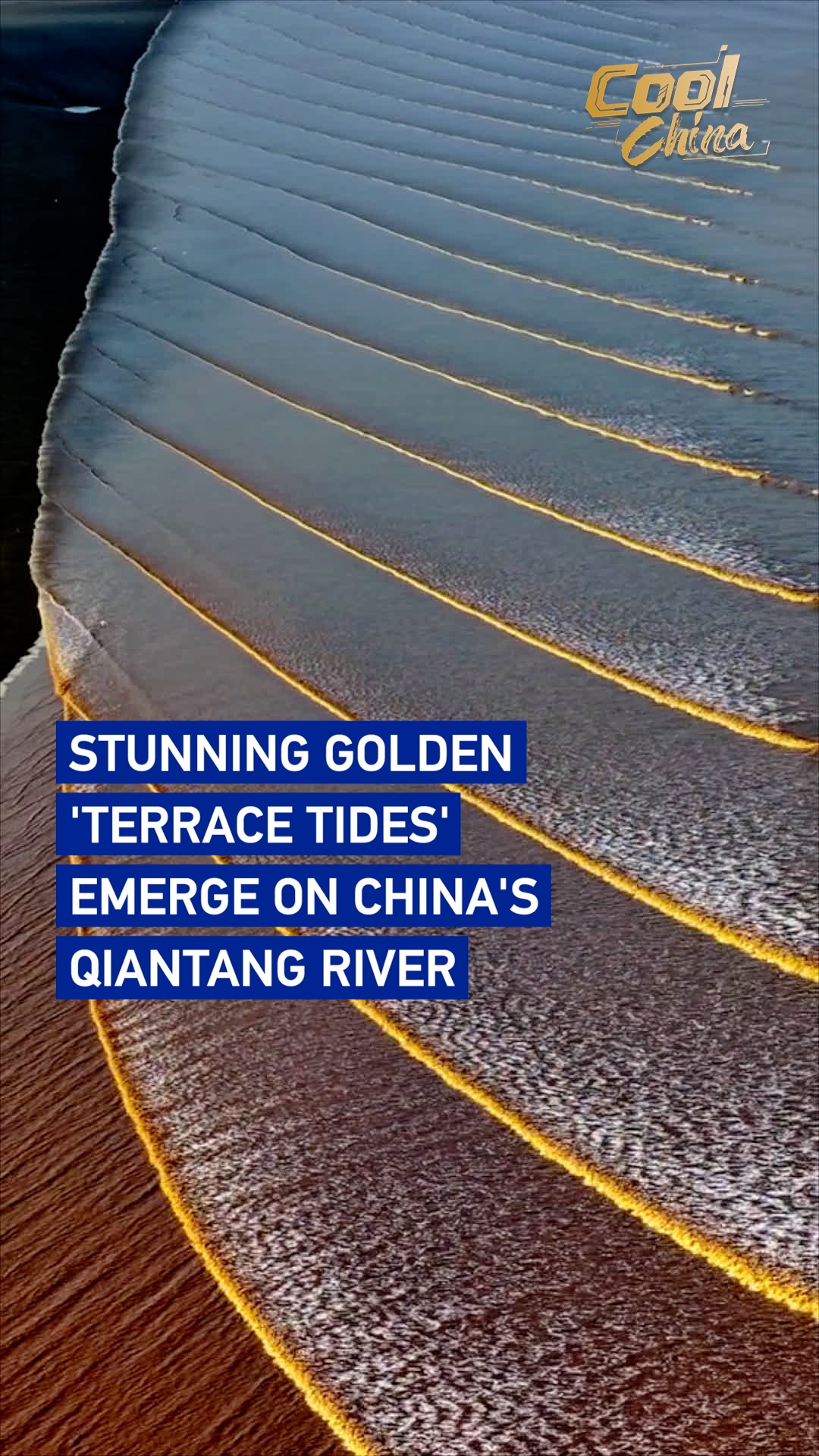 Stunning golden 'terrace tides' emerge on China's Qiantang River