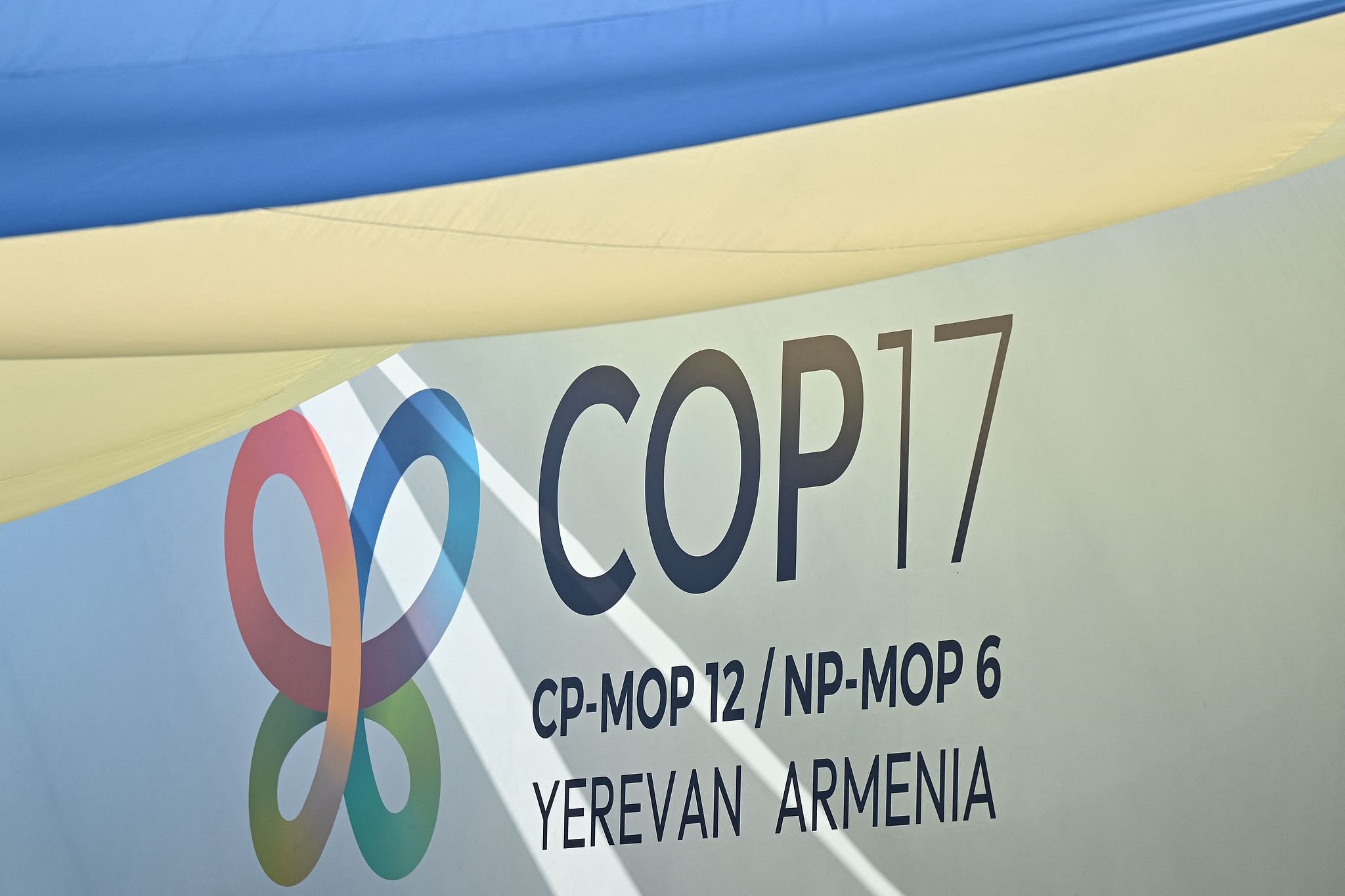 Branding for the COP 17 in Yerevan, Armenia, October 19, 2026. /VCG