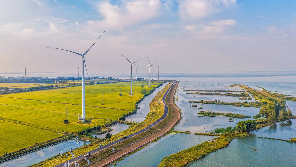 Wind turbines stand tall along the shore of Hongze Lake, east China's Jiangsu Province, October 8, 2026. /VCG