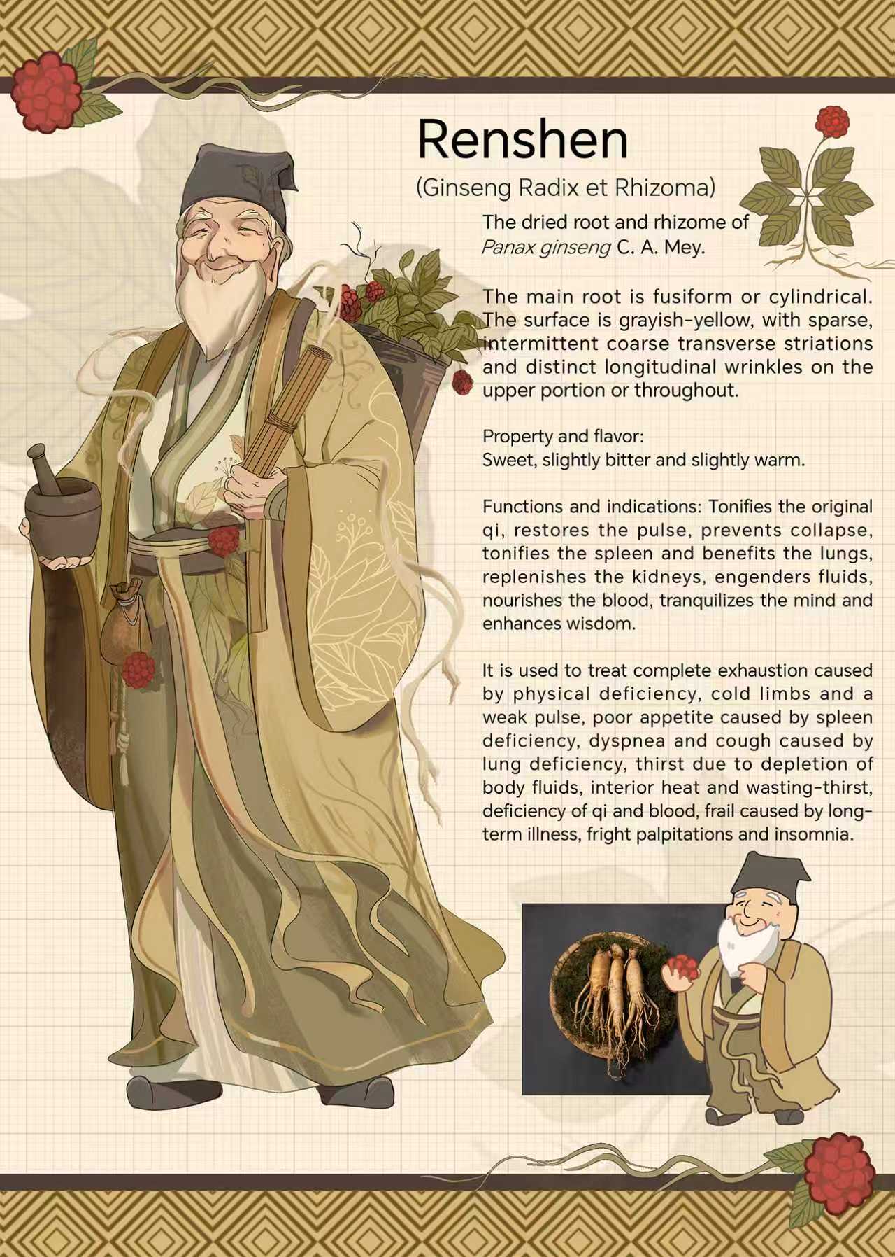 Meet Ginseng: The energy booster
