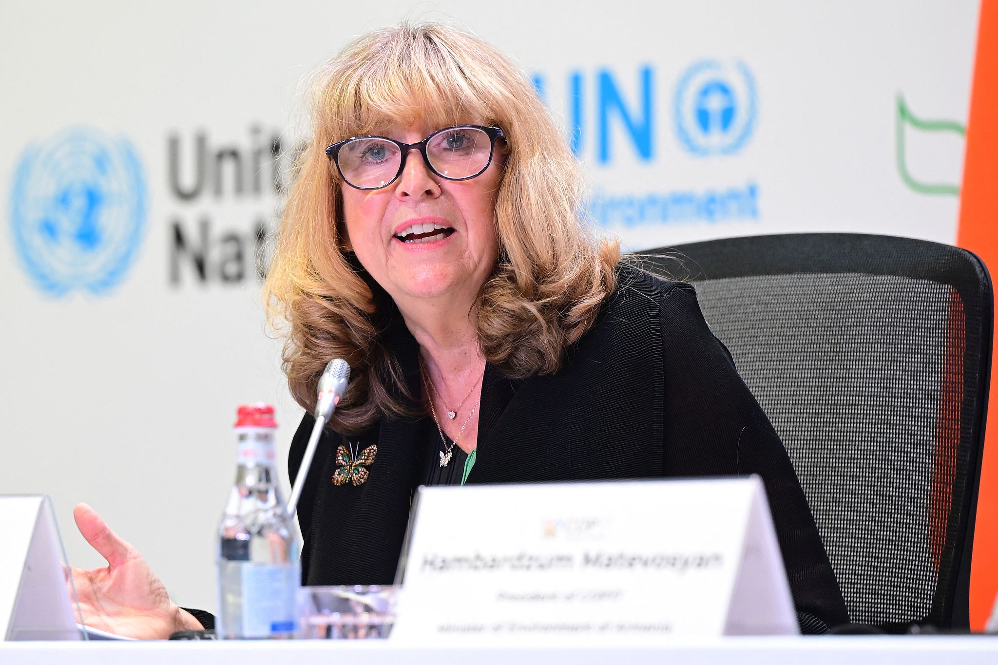 Astrid Schomaker, executive secretary of the Convention on Biological Diversity, addresses a press conference in Yerevan, Armenia, October 15, 2026. /VCG