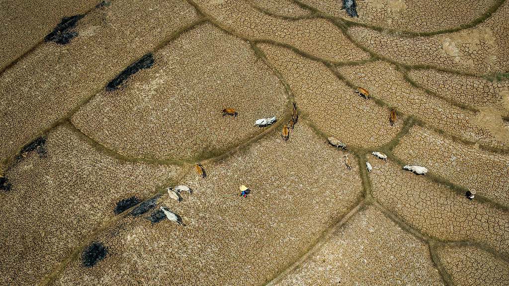 'Off-the-charts' El Niño could spark global economic crisis, UN warns