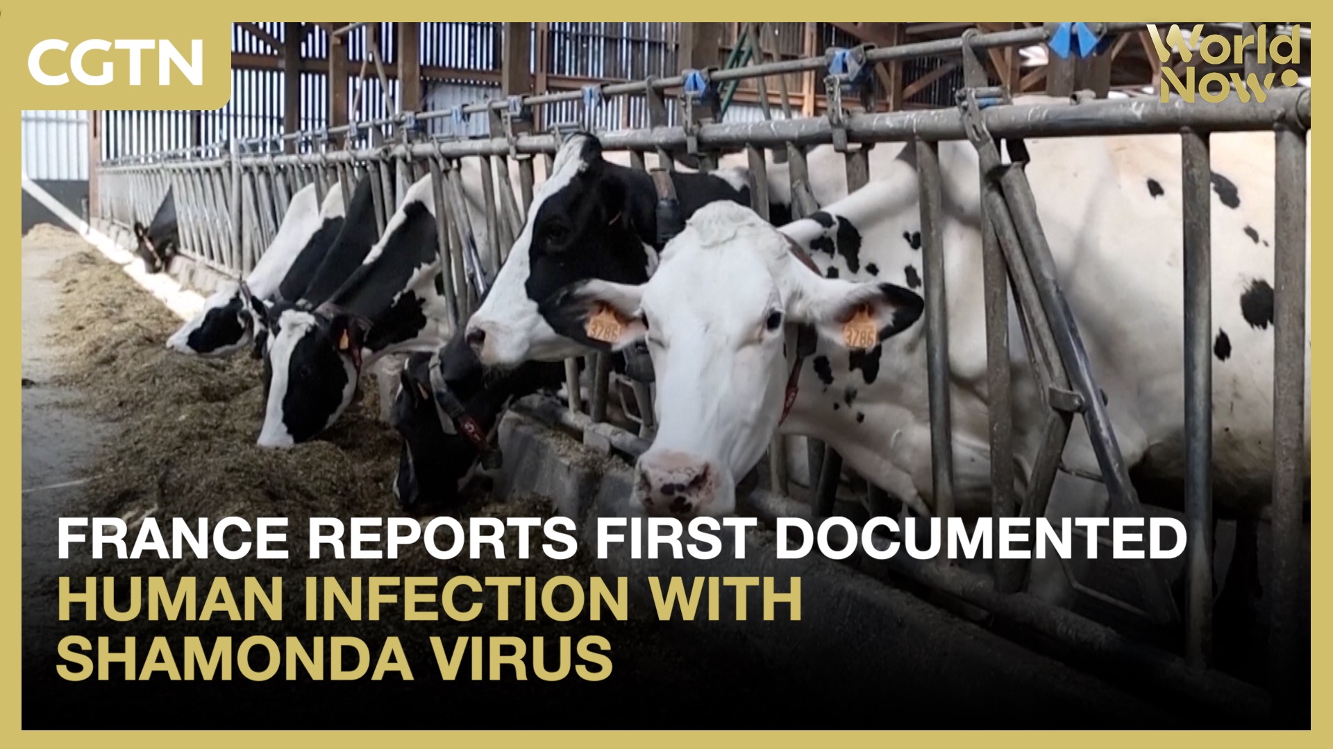 France reports first documented human infection with Shamonda virus