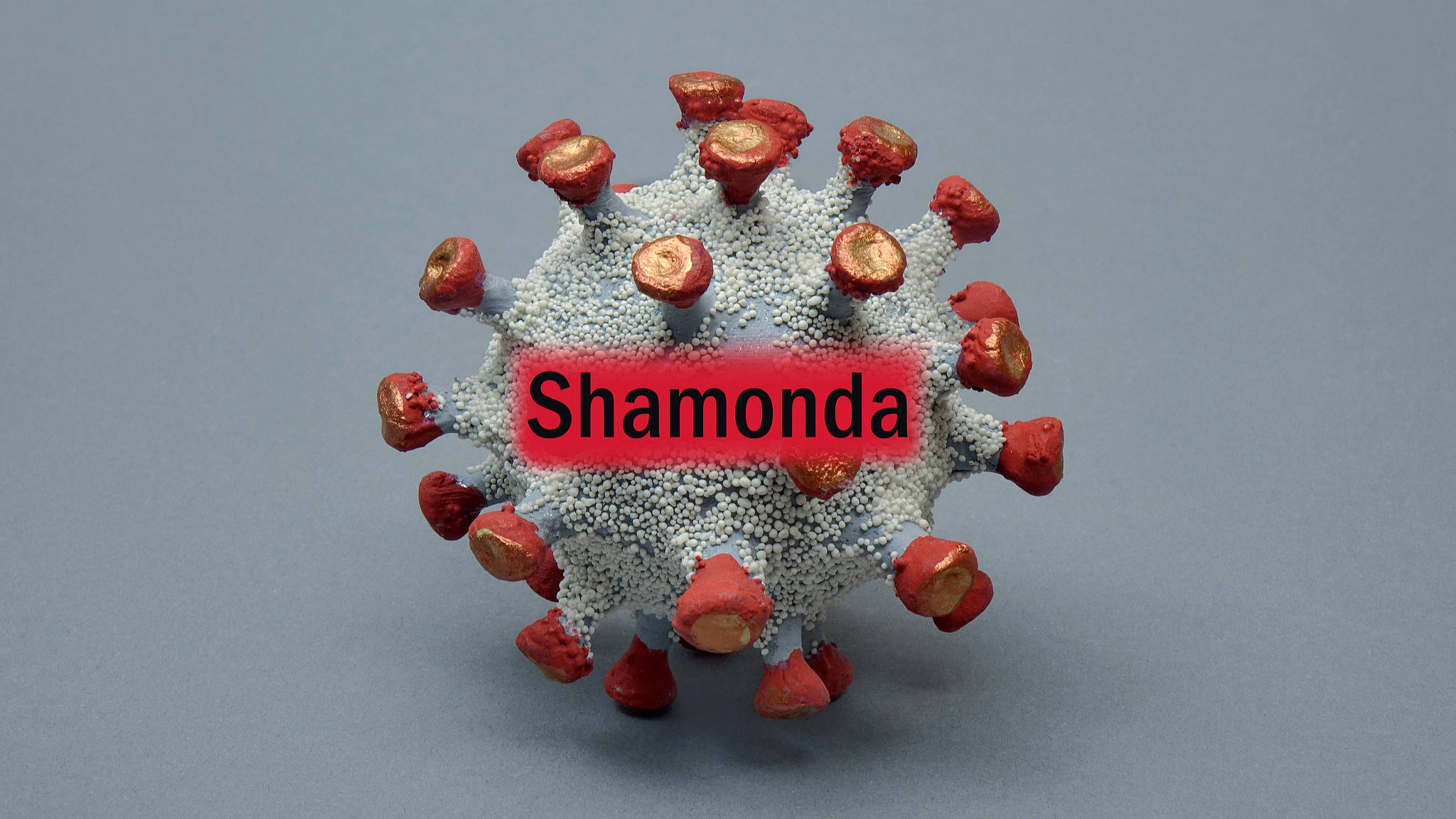 France reports world's first human Shamonda virus case infection