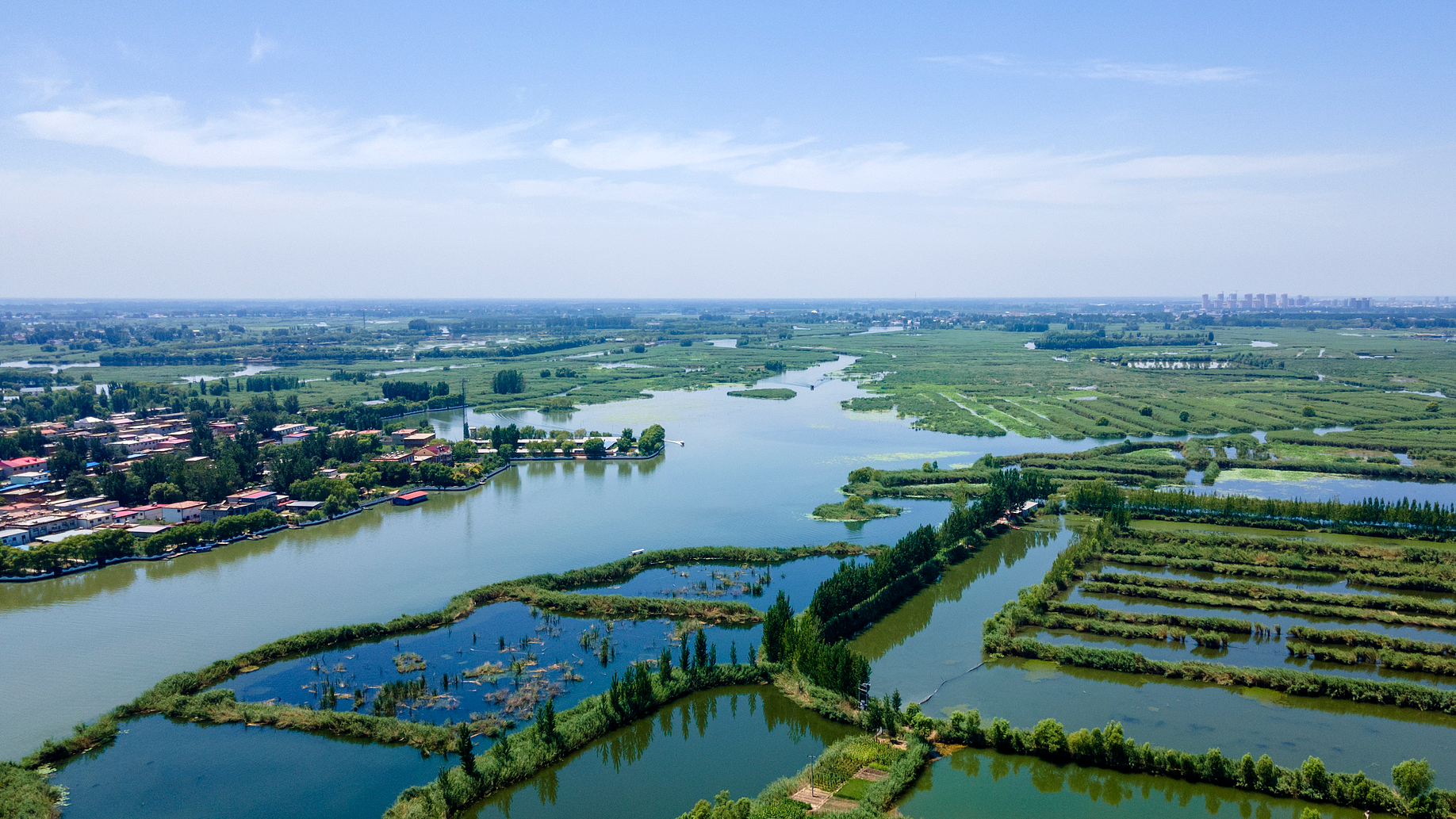 Live: Discover the eco-harmony of Baiyangdian Lake in north China – Ep. 2
