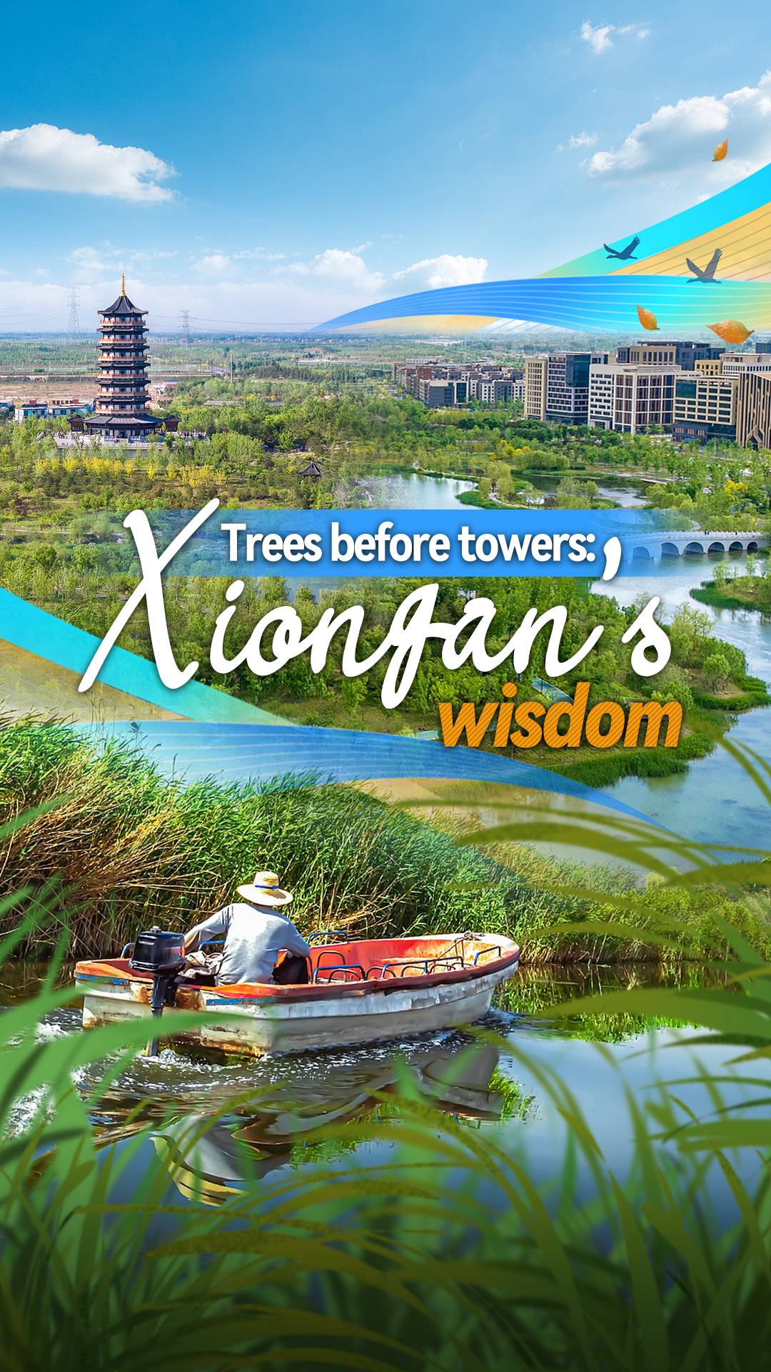 Trees before towers: How China built a city with nature first