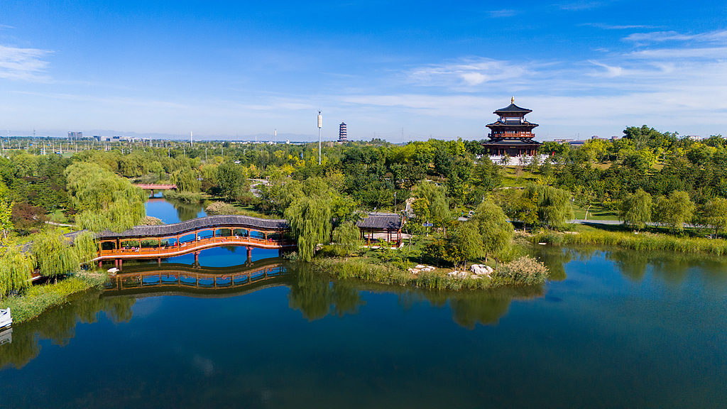 Live: Discover the eco-harmony of Yuerong Park in north China