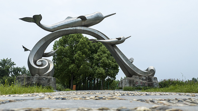 A view at the Freshwater Dolphin Nature Reserve in Tongling, Anhui Province, China, June 4, 2023. /VCG