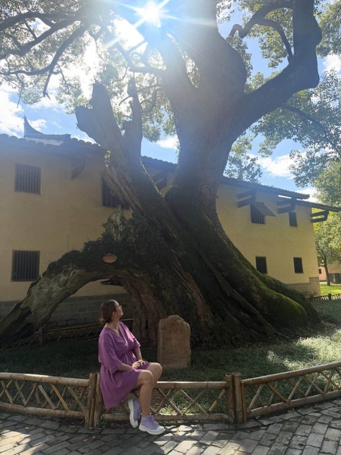 Ioana Gomoi sits beneath the tree that was struck by a bomb in 1933. /CGTN