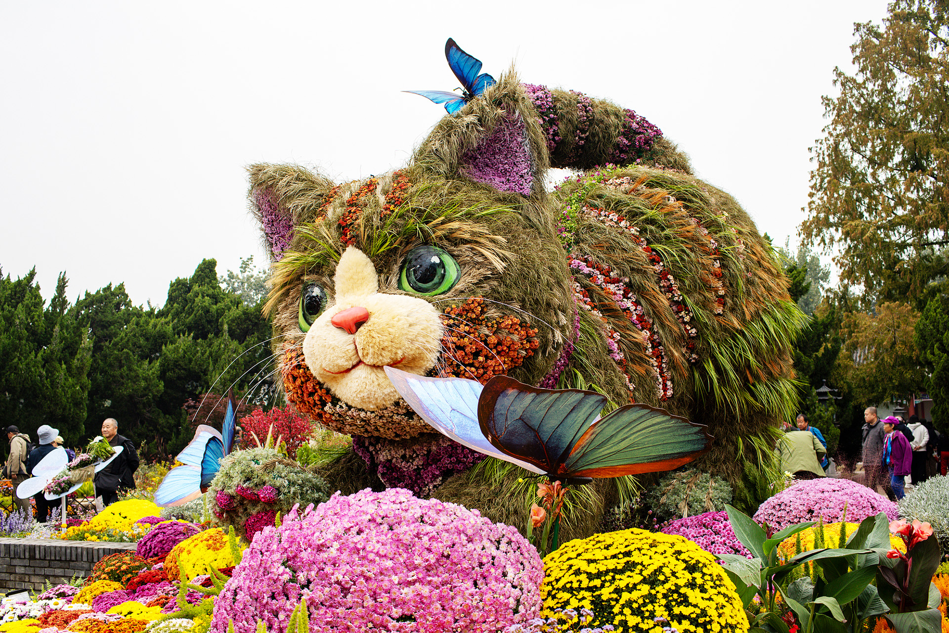 A cat-themed floral landscape is seen at Beihai Park in Beijing on October 24, 2026. /VCG