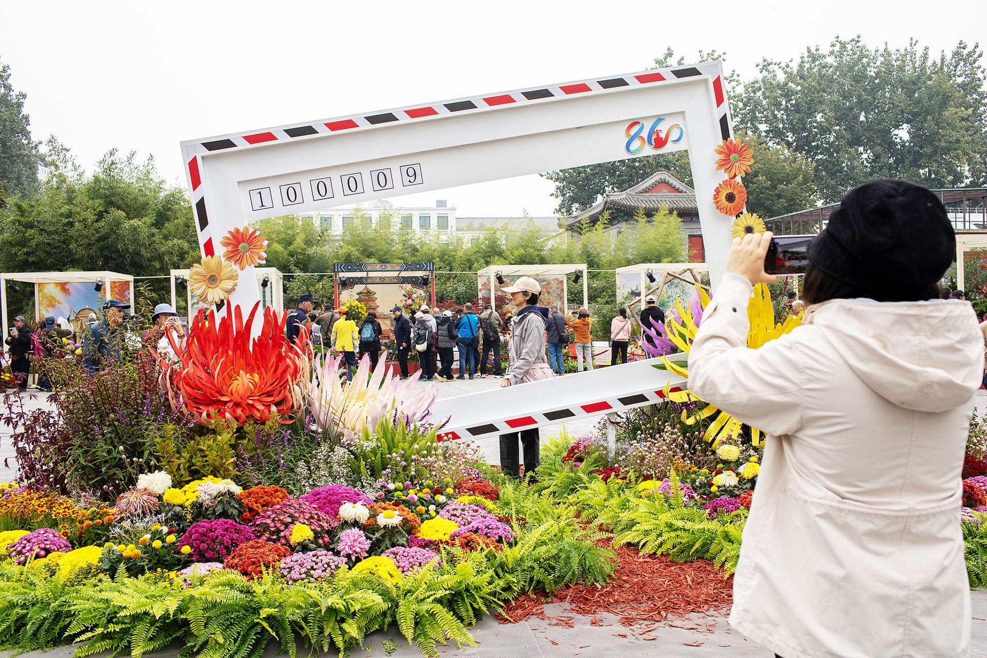 A visitor poses for photos at the 47th Beijing Chrysanthemum Exhibition at Beihai Park in Beijing on October 24, 2026. /VCG