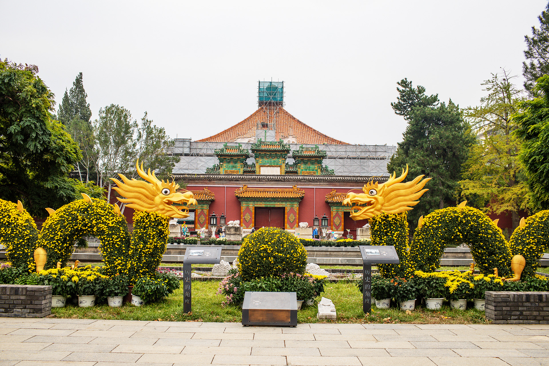 A floral installation featuring two Chinese dragons is seen at Beihai Park in Beijing on October 24, 2026. /VCG