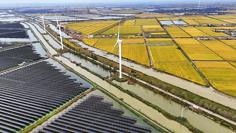 Solar panels and wind turbines operate on coastal tidal flats at a solar farm in Lianyungang, Jiangsu Province, China, October 20, 2026. /VCG