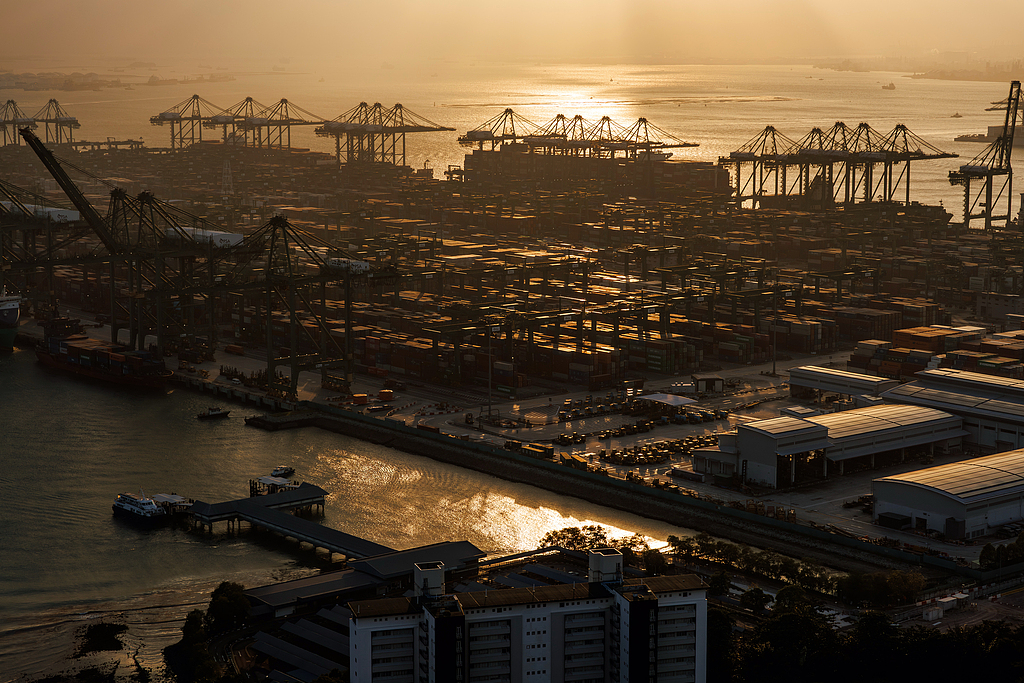 Gantry cranes and shipping containers at the Pasir Panjang Terminal in Singapore, February 1, 2026. /VCG