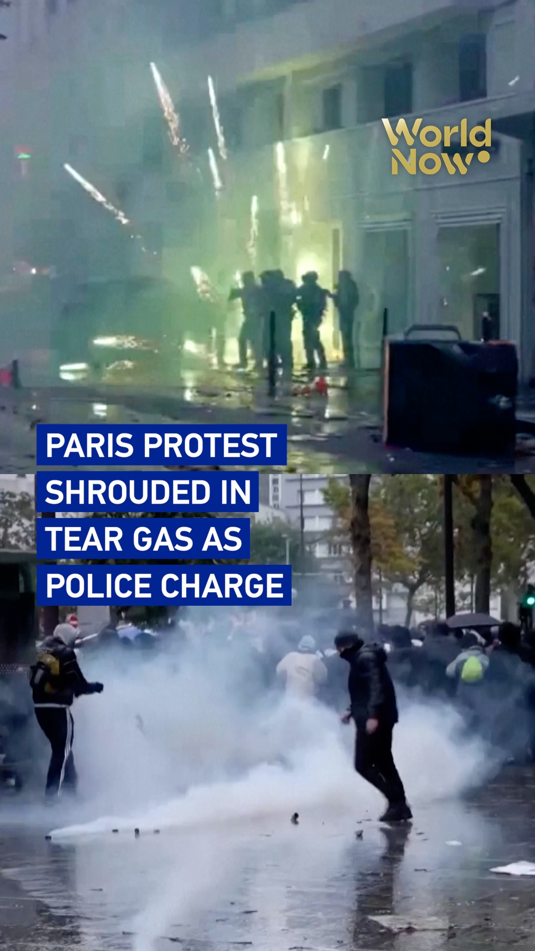 Paris protest shrouded in tear gas as police charge