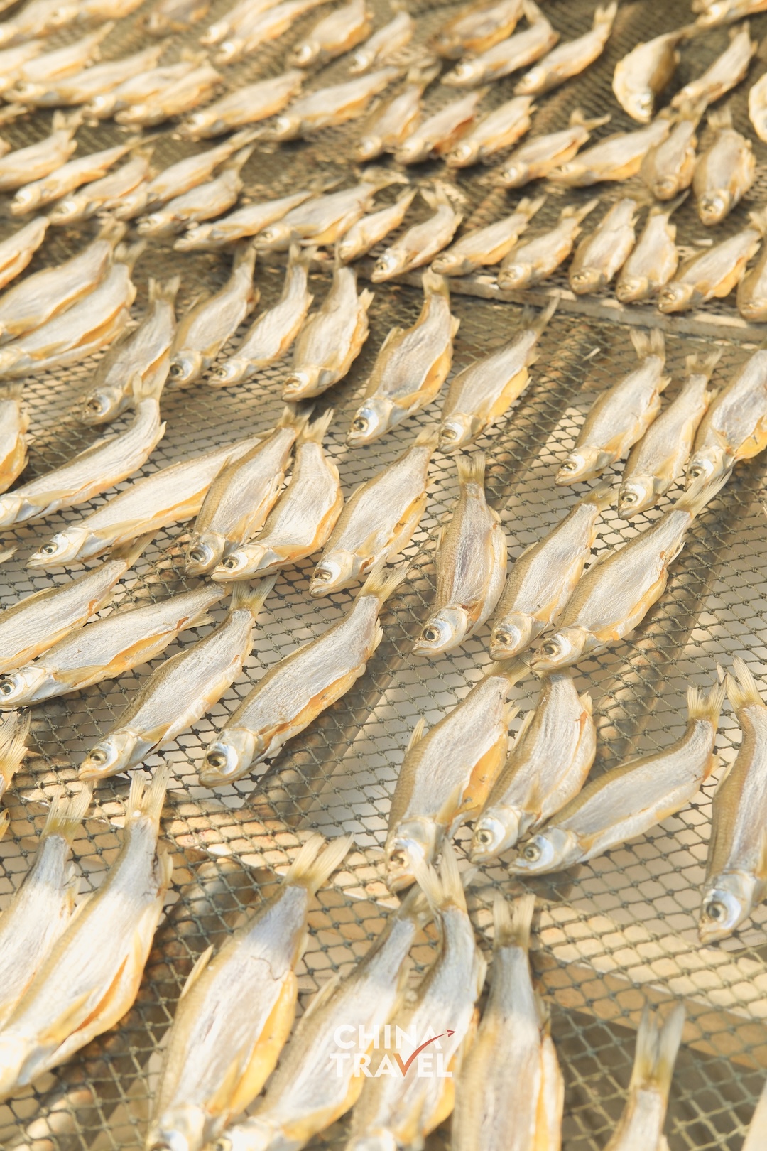 Fish drying in the open air offer a glimpse of the food traditions woven into everyday life in Datong Ancient Town. /CGTN