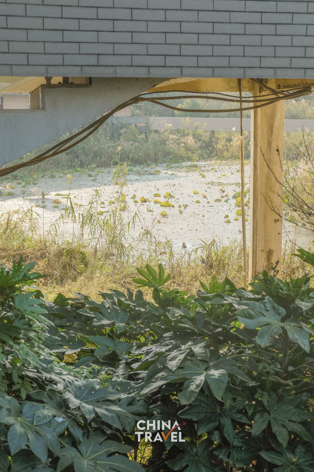 Boats, riverside greenery and people by the landing offer glimpses of an autumn day along the water. /CGTN