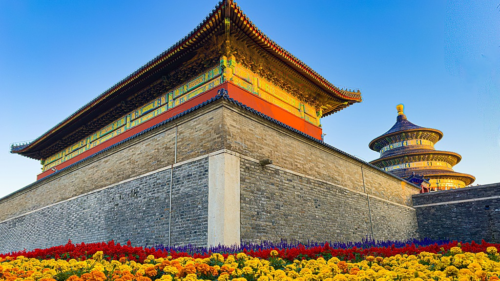 Live: Explore the 45th Chrysanthemum Exhibition at Temple of Heaven Park, Beijing
