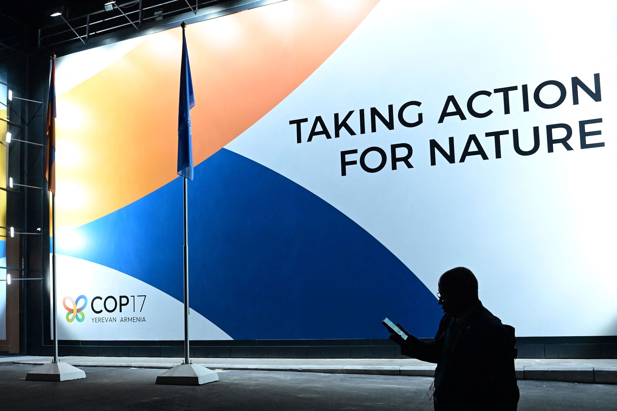 A participant attends the 17th meeting of the Conference of the Parties (COP 17) to the Convention on Biological Diversity in Yerevan, Armenia, October 26, 2026. /VCG