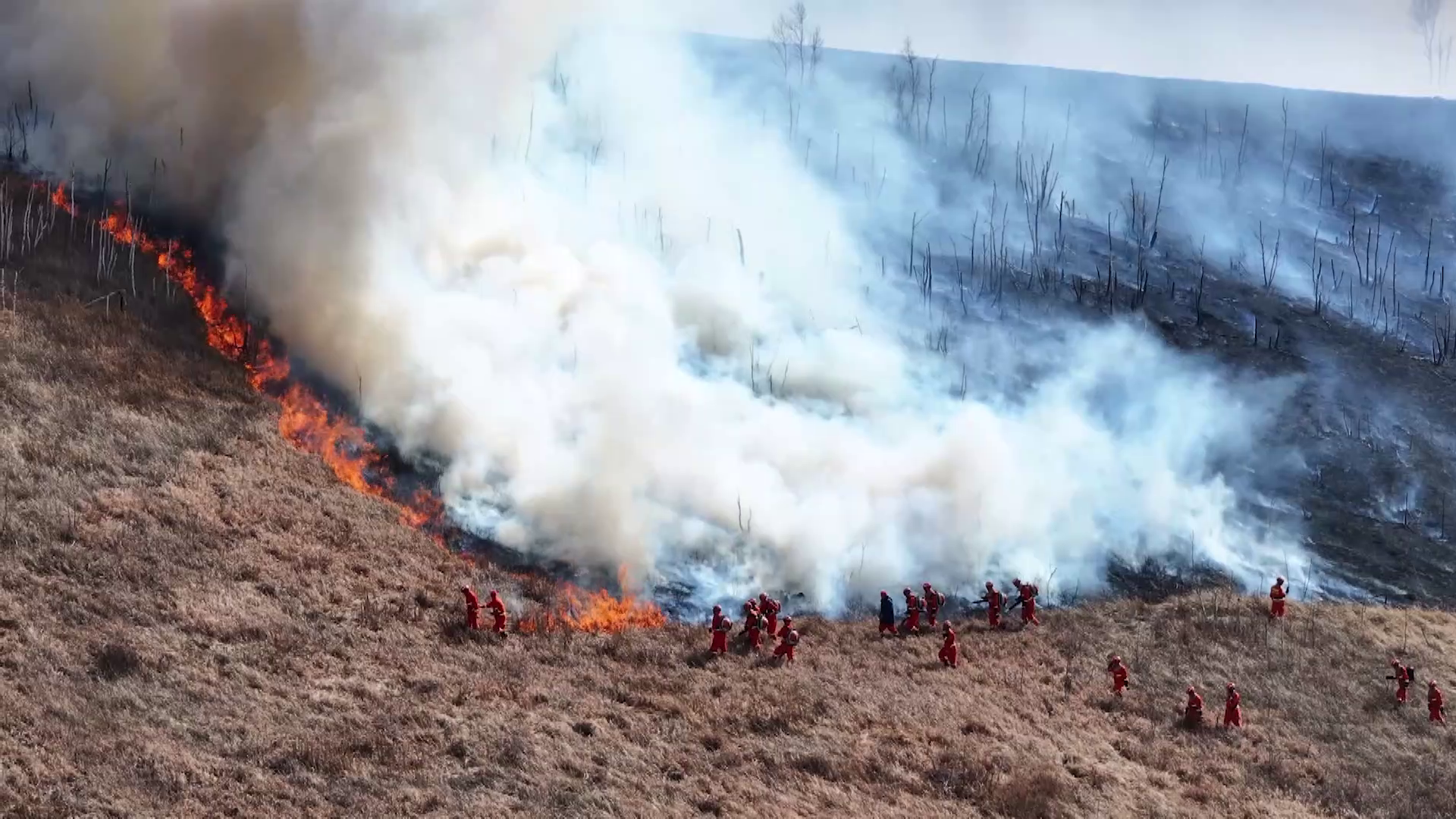 Firefighters extinguishing flames at the border area.
