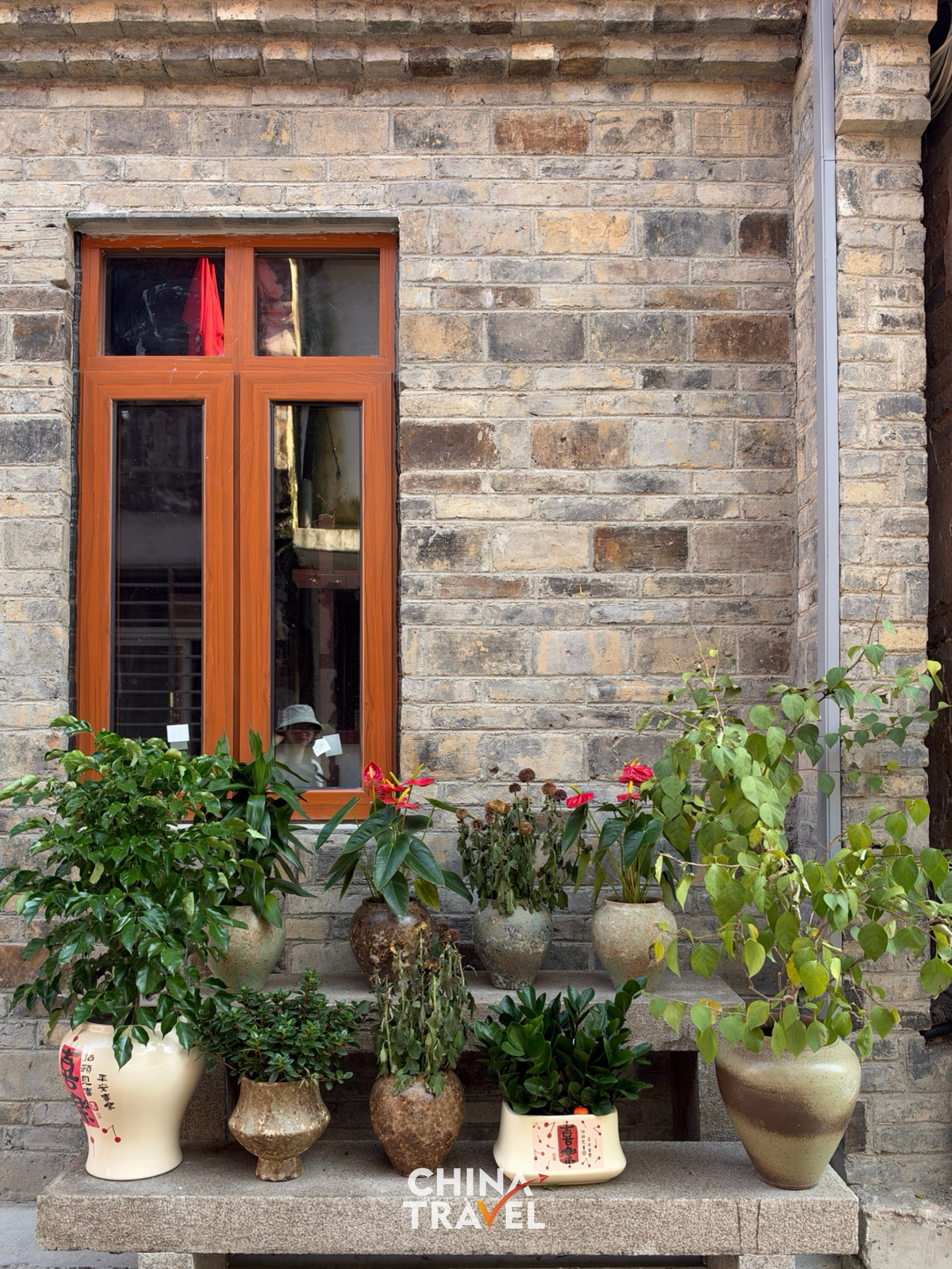 Potted plants neatly arranged along an exterior wall. /CGTN