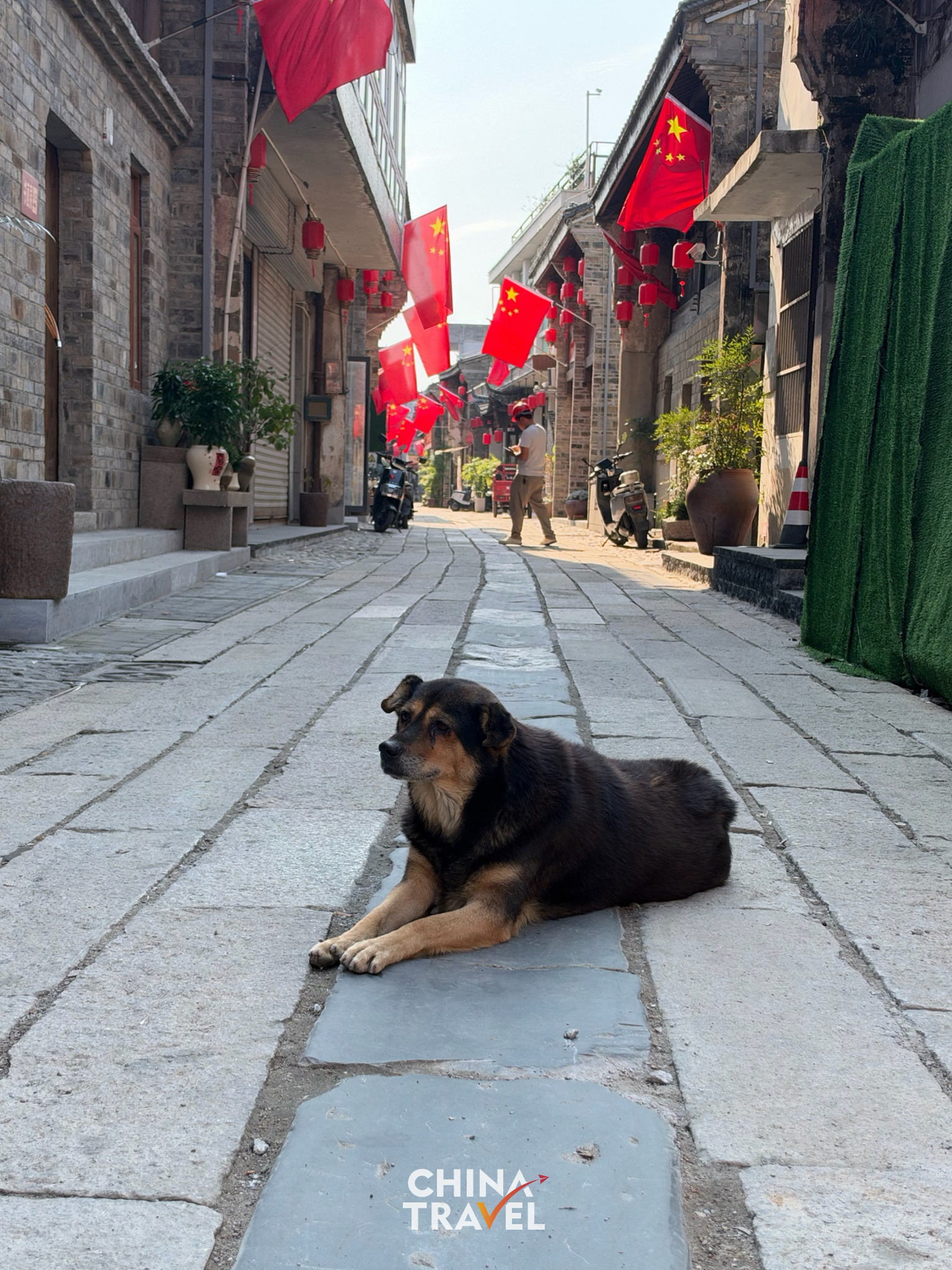 A local dog napping in the middle of the alley. /CGTN