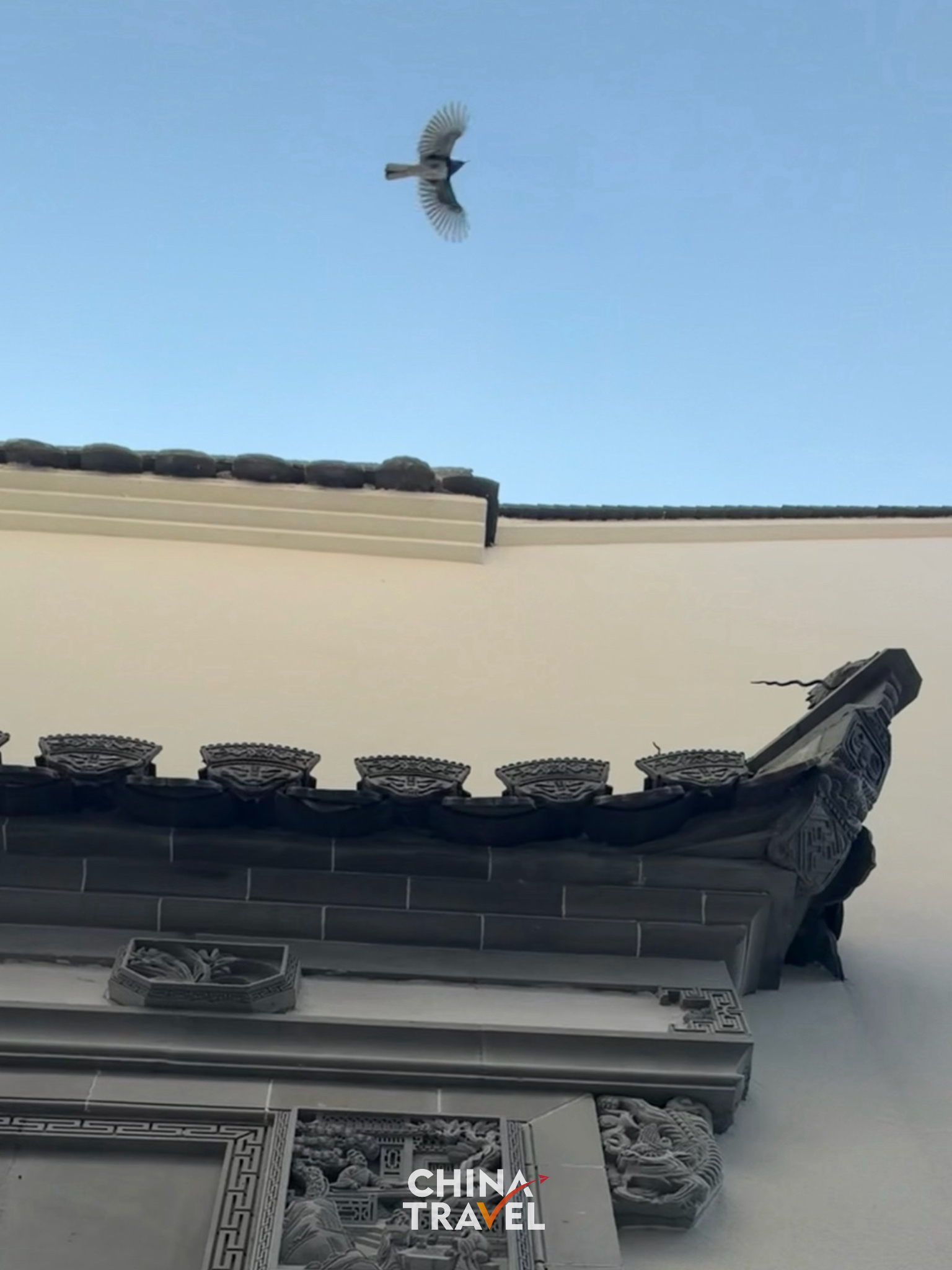 A bird glides over the traditional white-walled houses and gray tiled roofs. /CGTN