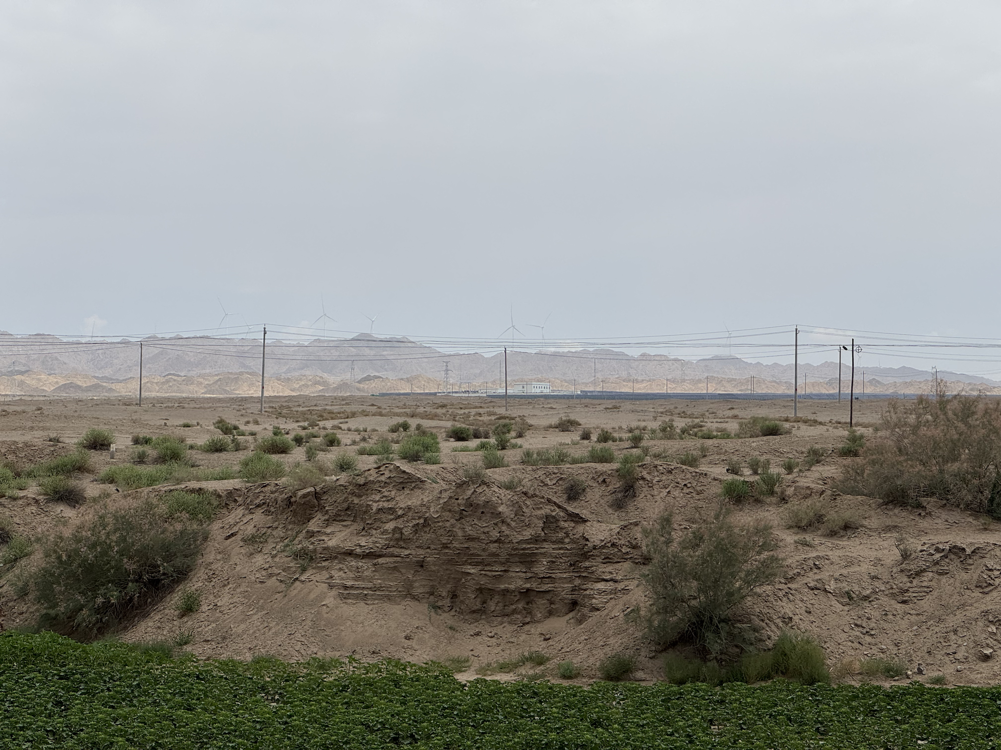Efforts to combat desertification in Zhangye, Gansu Province, northwest China. /Liu Jiakai