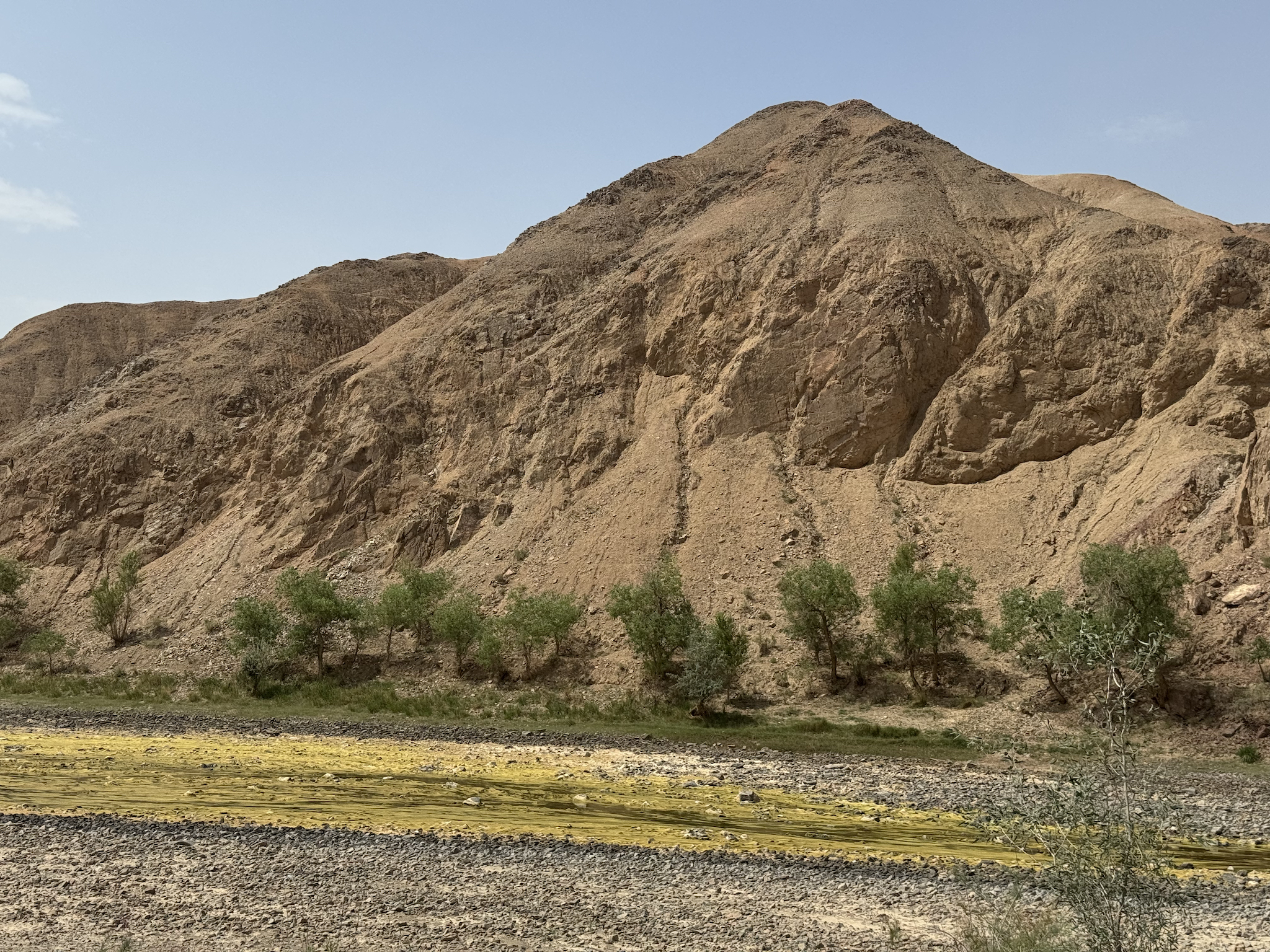 Ecological restoration on the Loess Plateau, north China. /Ning Zhonghua