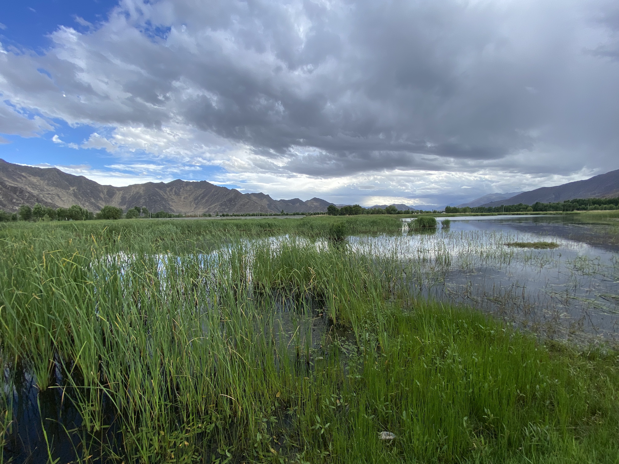Efforts to restore high-altitude wetlands in Lhasa, Xizang Autonomous Region, southwest China. /Liu Jiakai