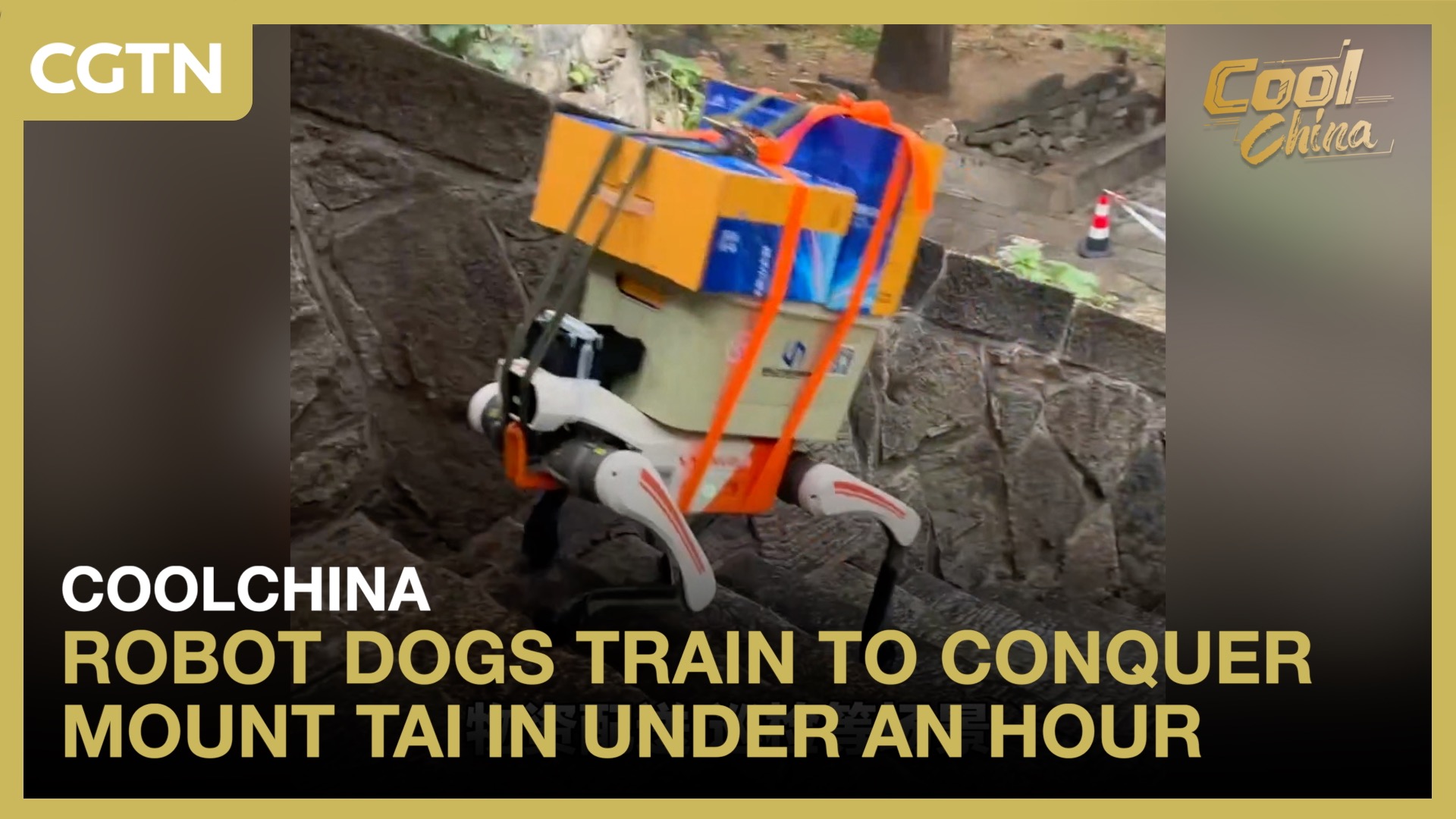Robot dogs train to conquer Mount Tai in under an hour
