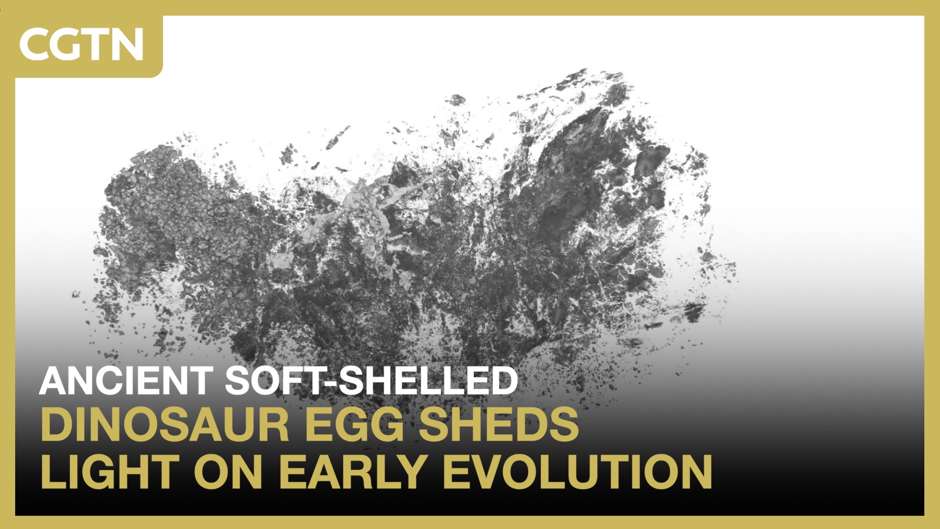 Ancient soft-shelled dinosaur egg sheds light on early evolution