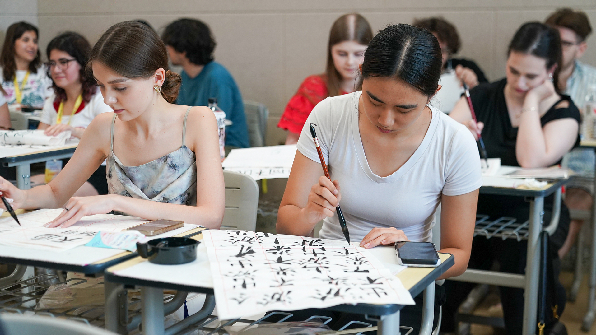 Career prospects and cultural appeal draw global learners to Chinese - CGTN