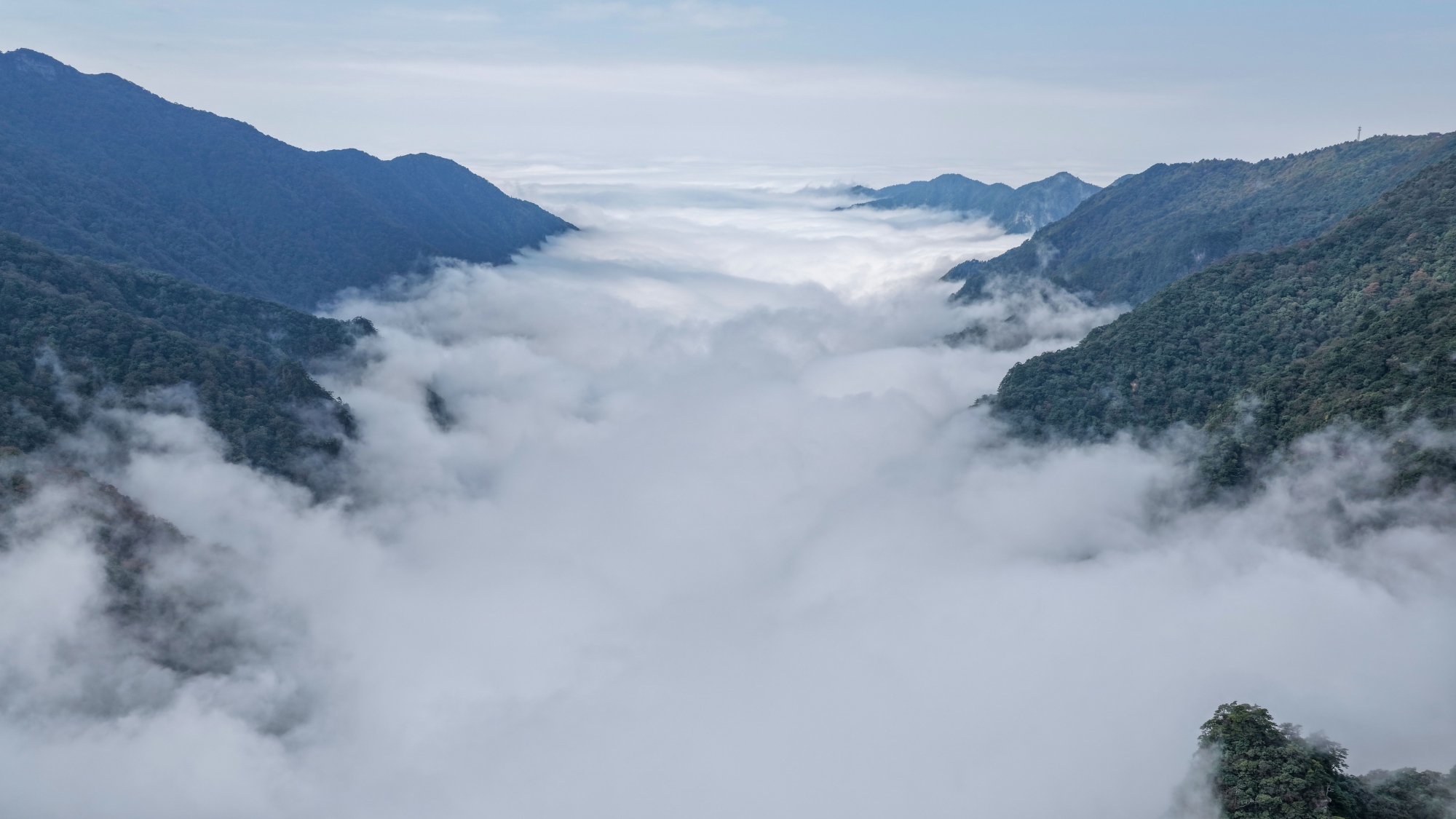 A view of Mount Fanjing wrapped by clouds is seen in Tongren, southwest China's Guizhou Province on October 24, 2026. /Tongren Media Convergence Center