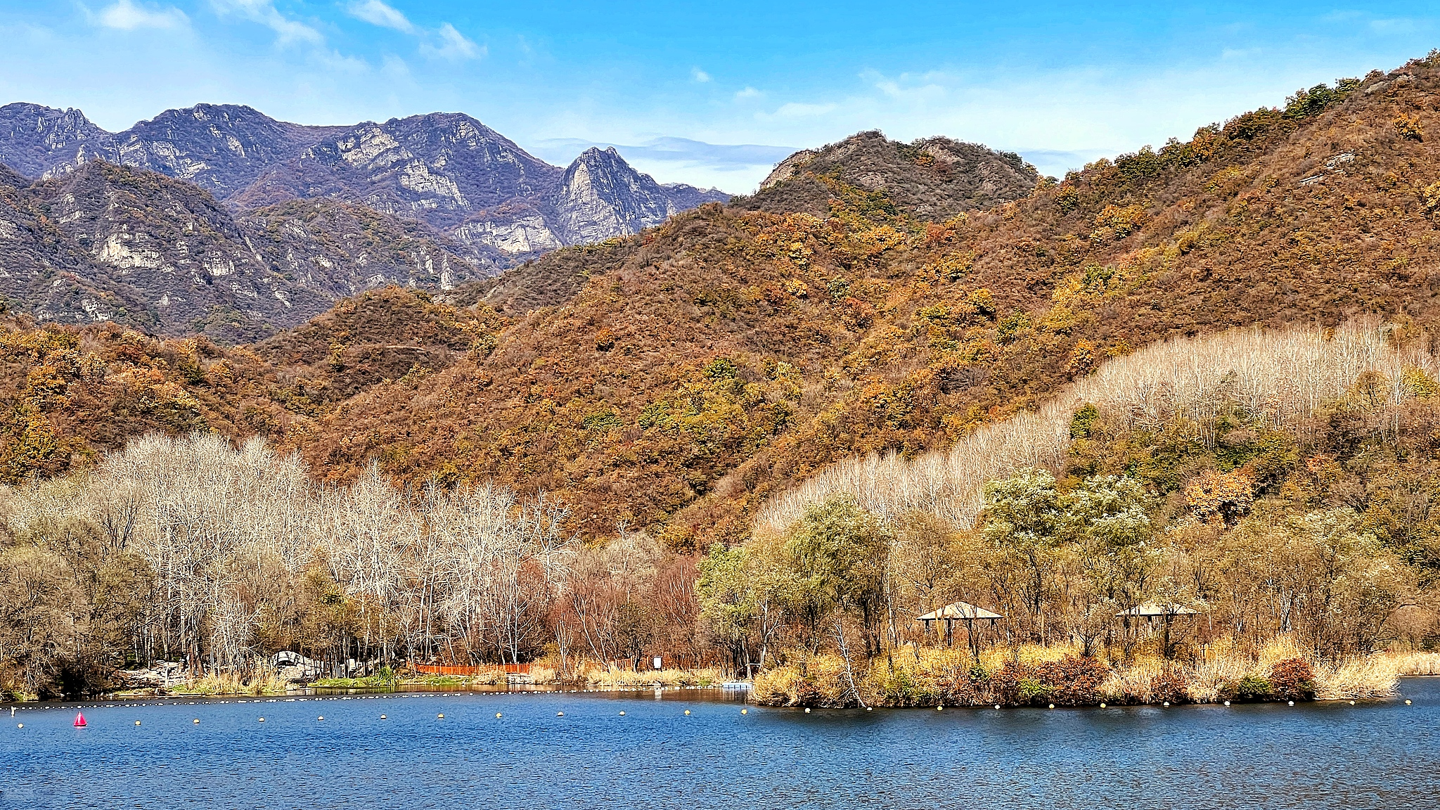 Live: Discover Beijing’s autumn colors