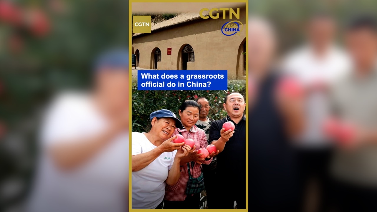 What does a grassroots official do in China