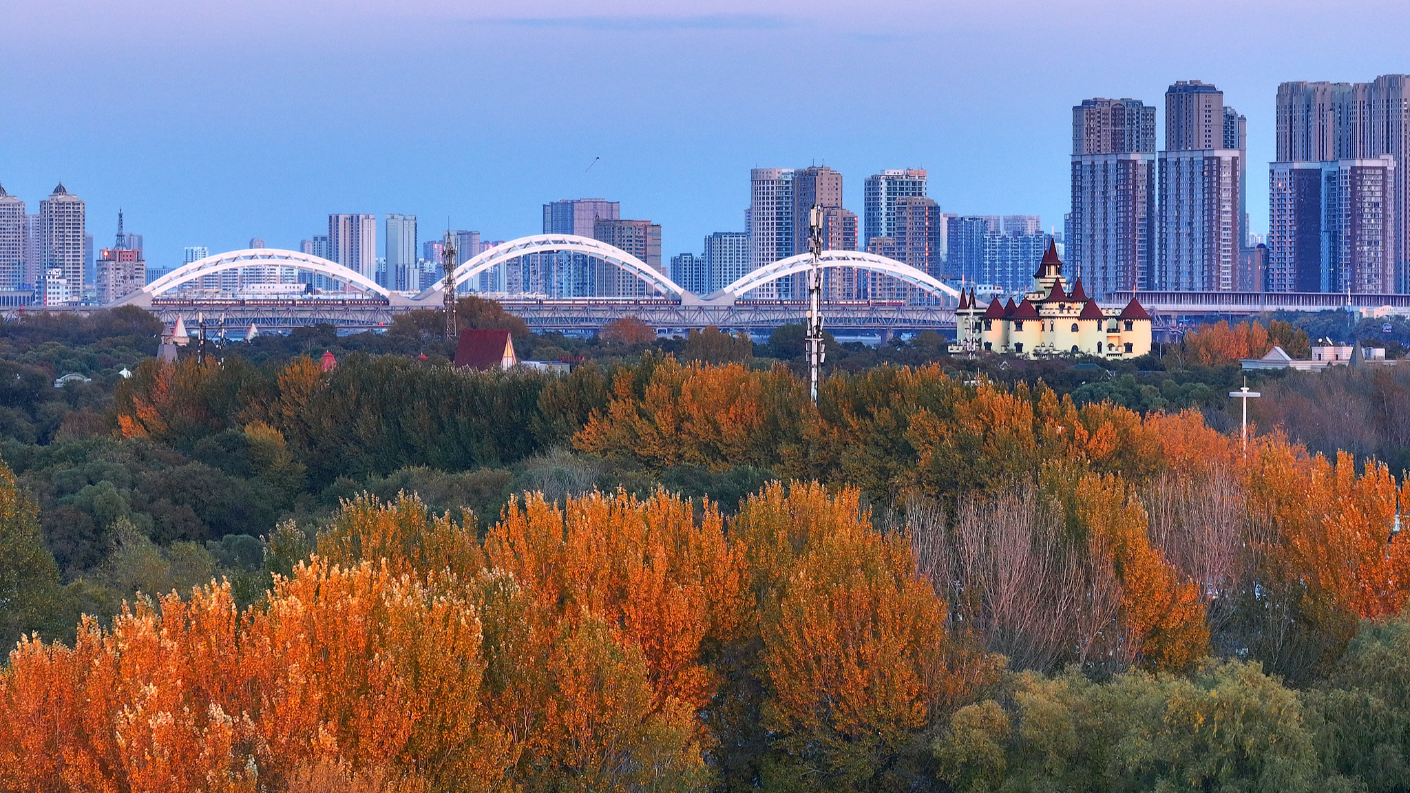 Live: Explore the autumn colors of the Sun Island in Harbin